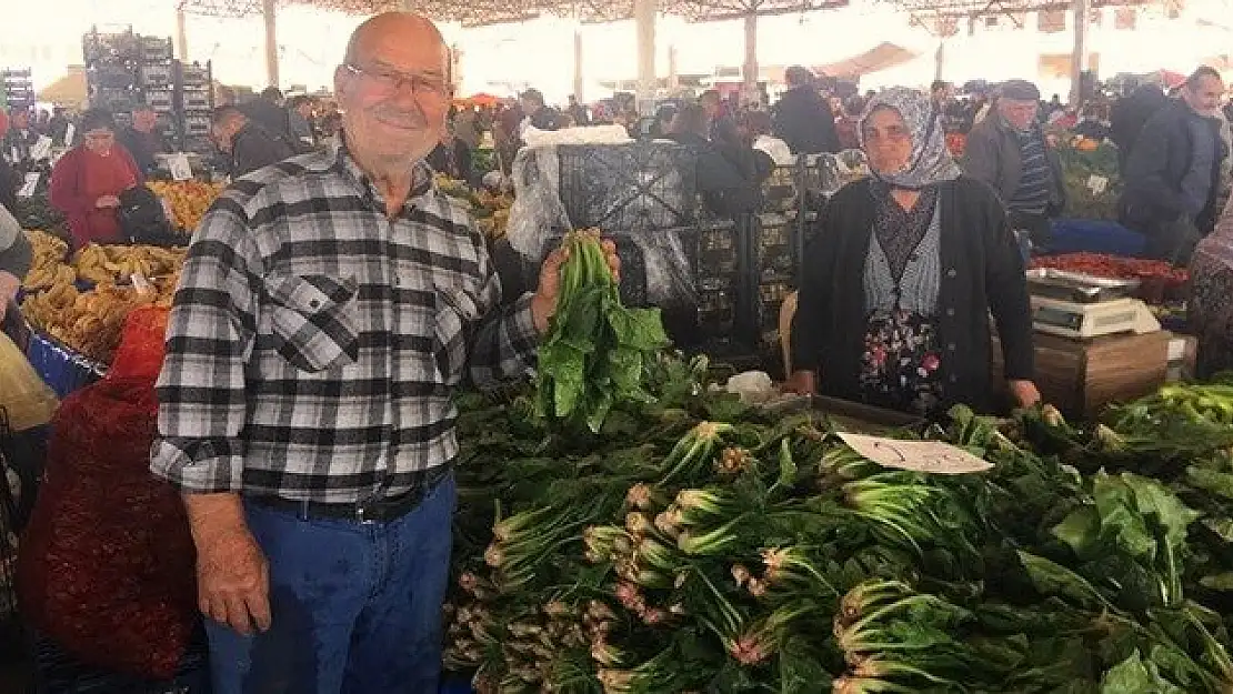 Emekli polisten organik sebzeler