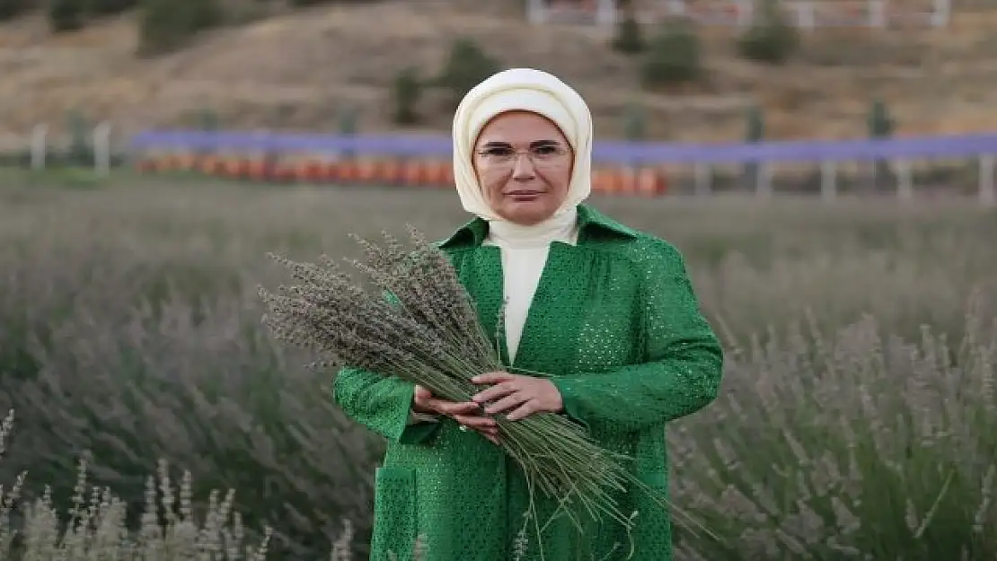 Emine Erdoğan, lavanta hasadına katıldı