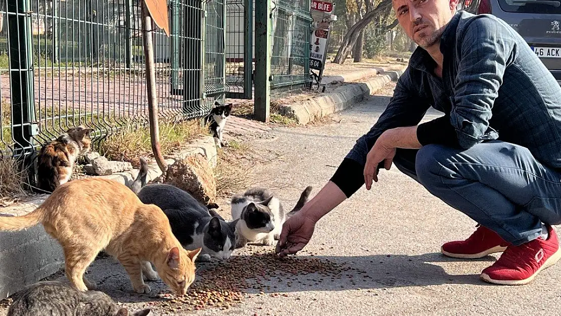 'Enkaz' isimli kedileri enkaz bölgesinde besliyor