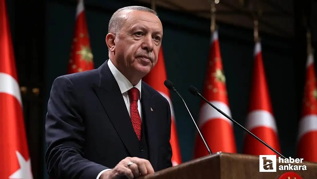 Erdoğan: AB'yi Türkiye kurtarabilir