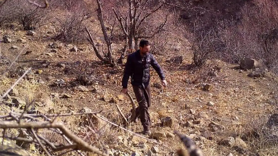 Erzincan'da avcı fotokapana yakalandı, bedelini ağır ödedi