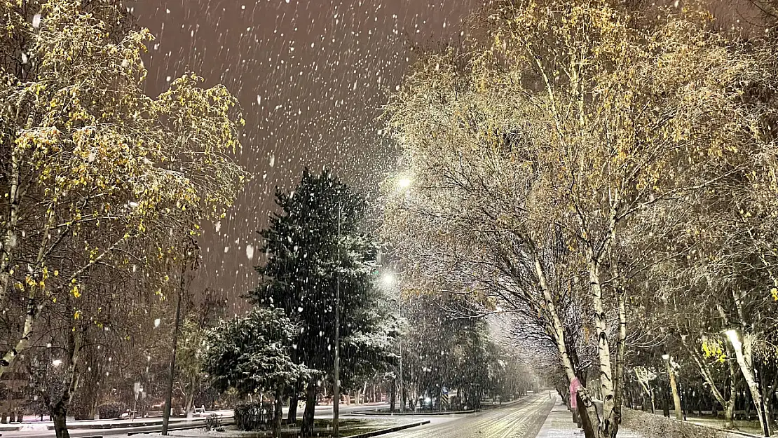 Erzurum'da kar manzaraları