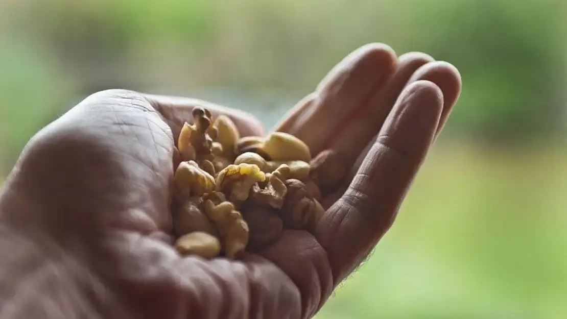 Et yemeyenler için 5 protein zengini yiyecek: Kas oluşturmaya yardımcı!