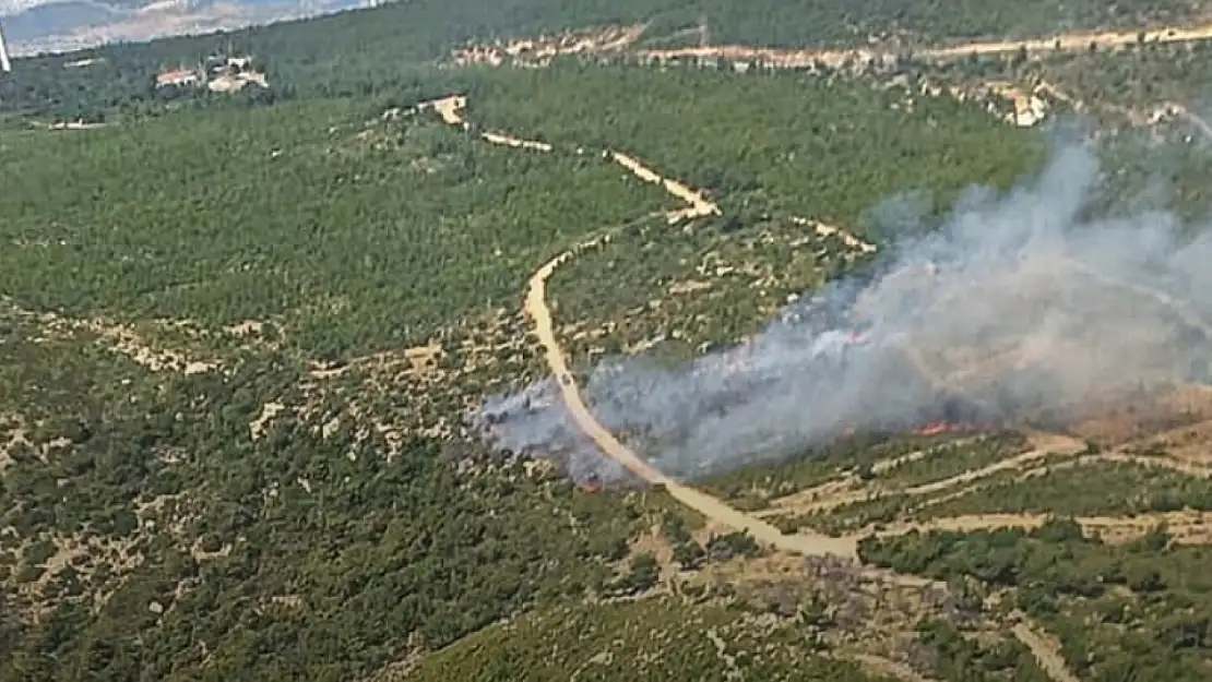 Foça'da orman yangını! Ekipler bölgeye sevk edildi