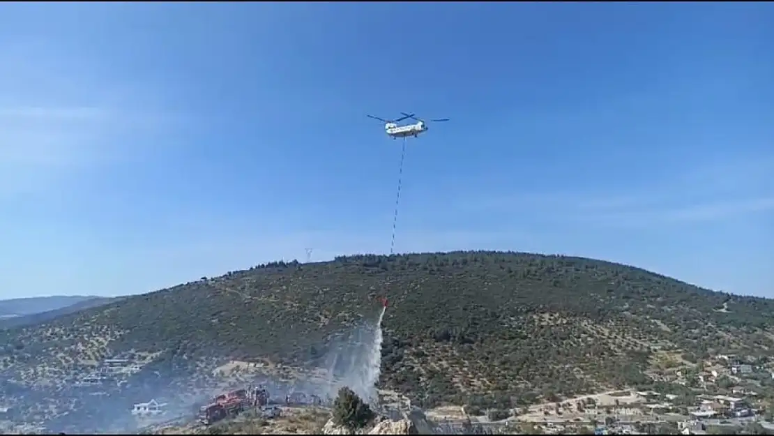 Foça'da yangın paniği: Ormanlık alana sıçradı!