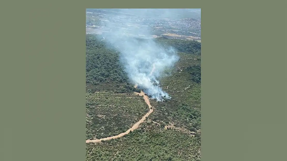 Foça’da orman yangını