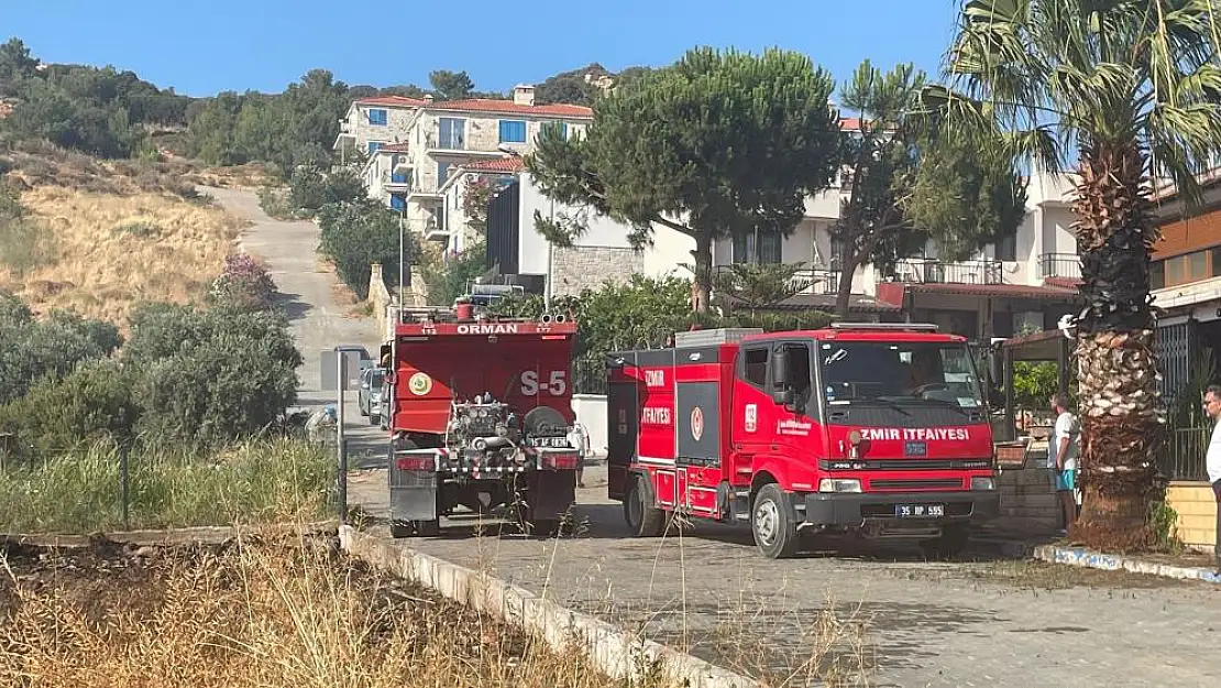 Foça’daki yangının nedeni belli oldu