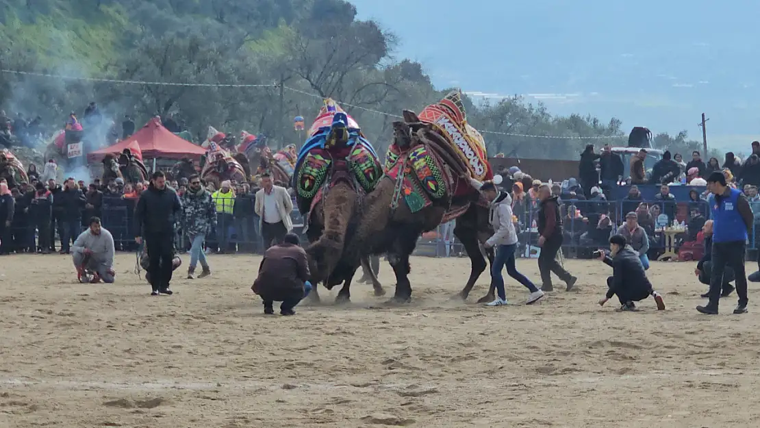 Geleneksel festivale binlerce kişi akın etti: Kuyucak'ta herkes nefesini tutarak izledi