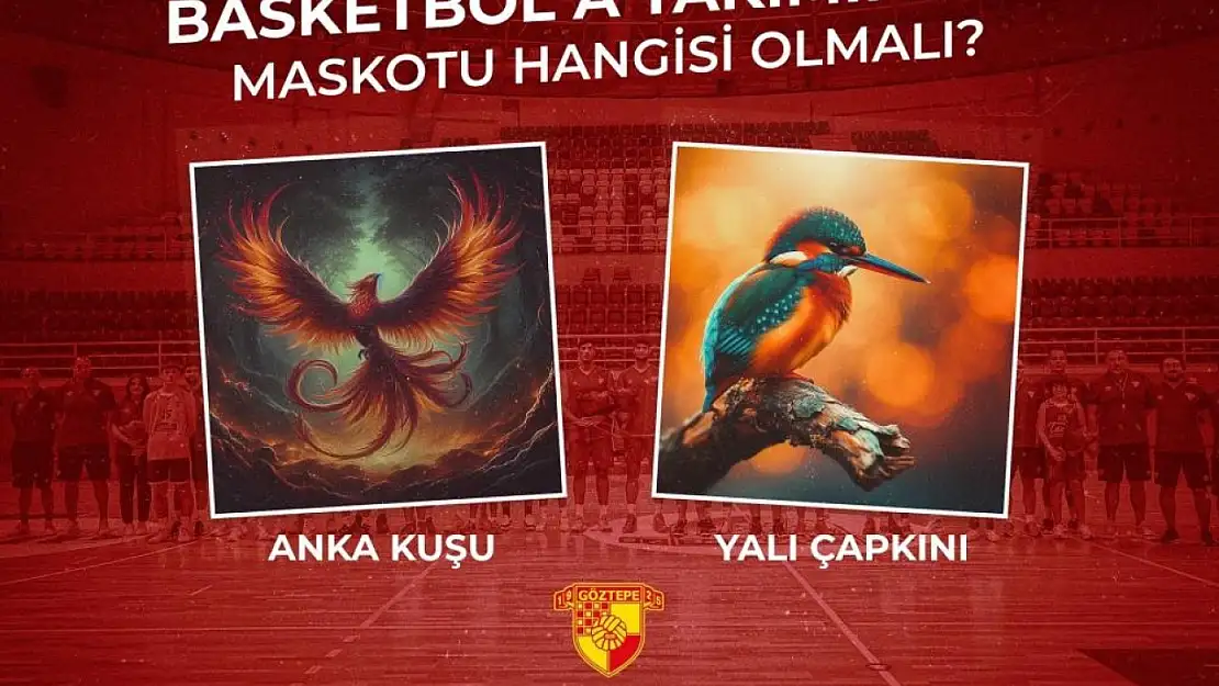 Göztepe Basketbol'dan taraftarlarına 'maskot' seçme fırsatı