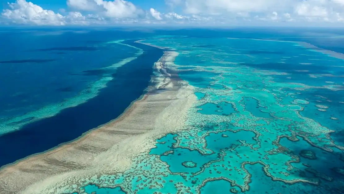 Great Barrier Reef: Dünyanın En büyük mercan resifi