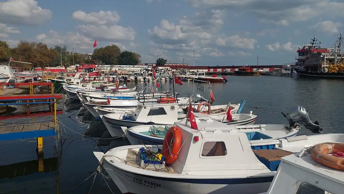 Hamsi bolluğu tayfaları Marmara’ya akın ettirdi