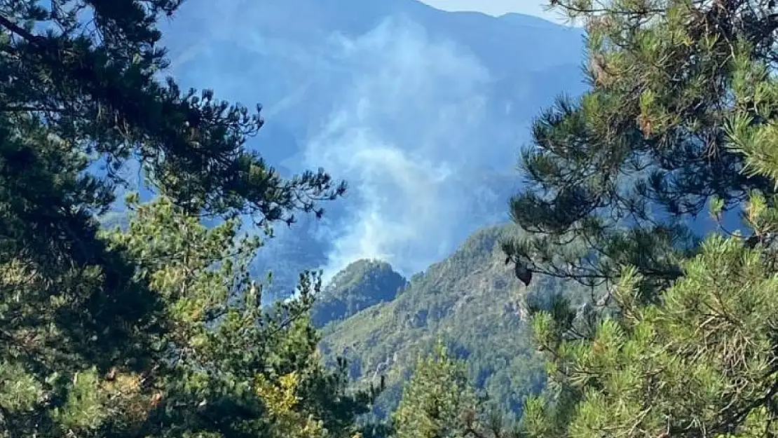 Hatay'da orman yangını başladı!