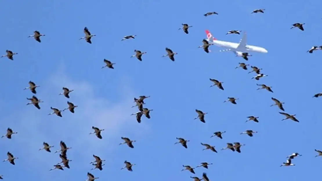 Hava sahasında 'Leylek' alarmı