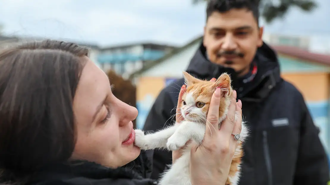 Hayata tutunan minik kedi yeni yuvasında