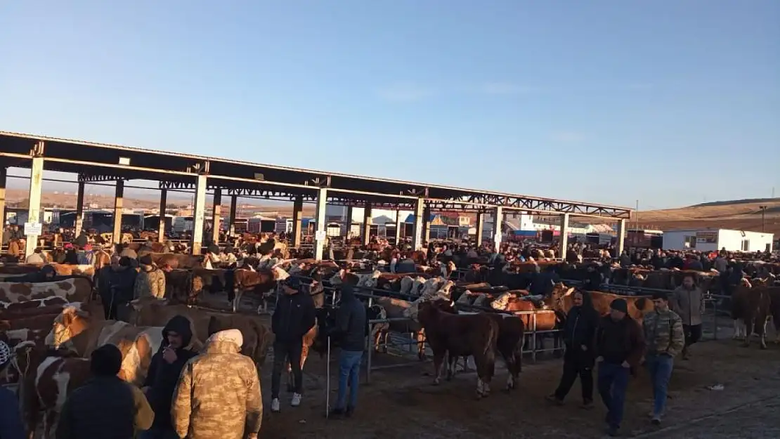 Hayvan pazarları yeniden açıldı: Üretici ve tüketiciler ne düşünüyor?