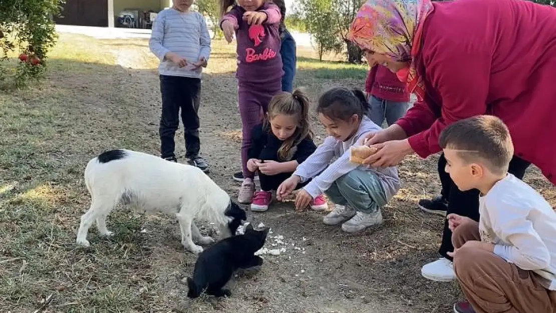 Hayvanların dostluğu çocuklara ilham oldu