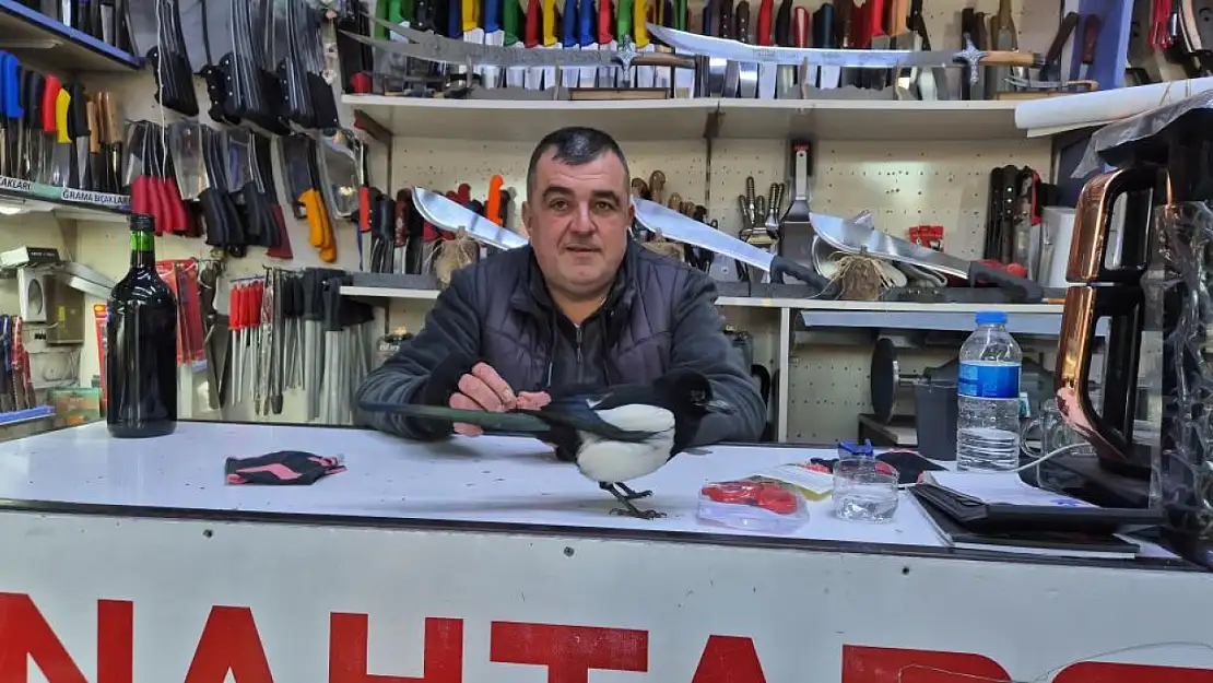 İçleri ısıtan dostluk: Saksağan 'Rafa' Tekirdağ'ın yeni maskotu oldu!