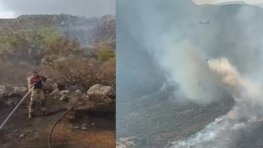 İki ilçede çıkan yangınlara İzmir İtfaiyesi'nden hızlı müdahale