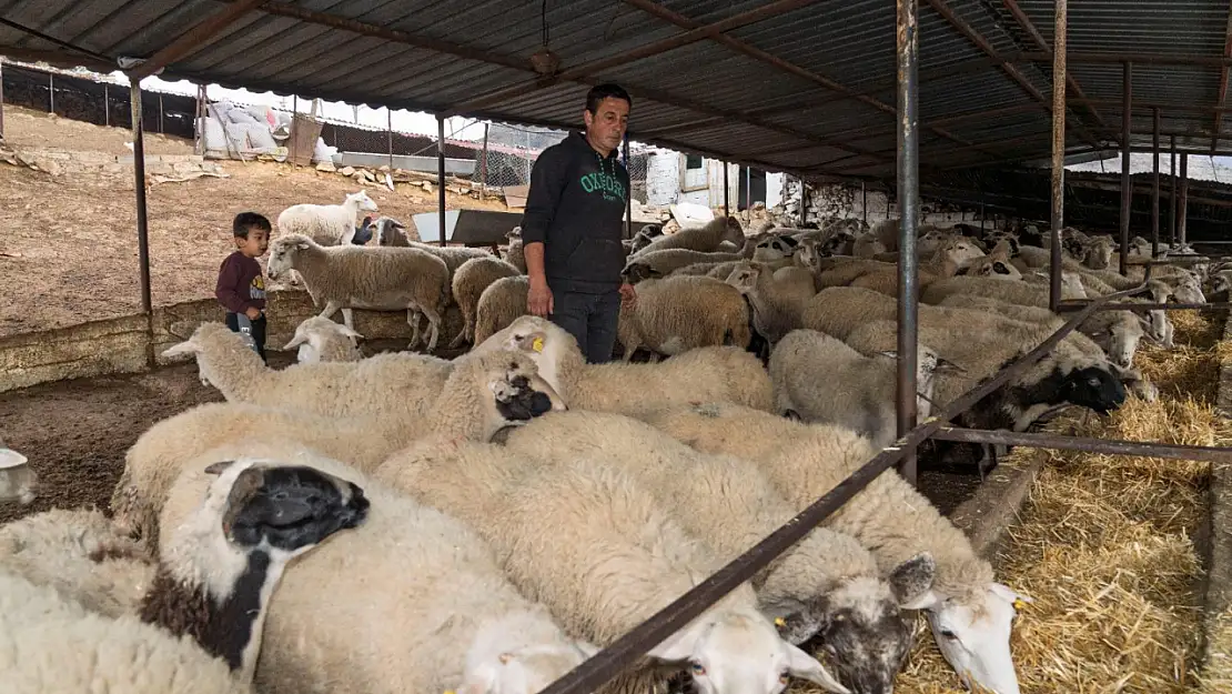 İzmir Büyükşehir, yangın mağduru çiftçilerden elini çekmedi: Hangi yardımlar yapıldı?