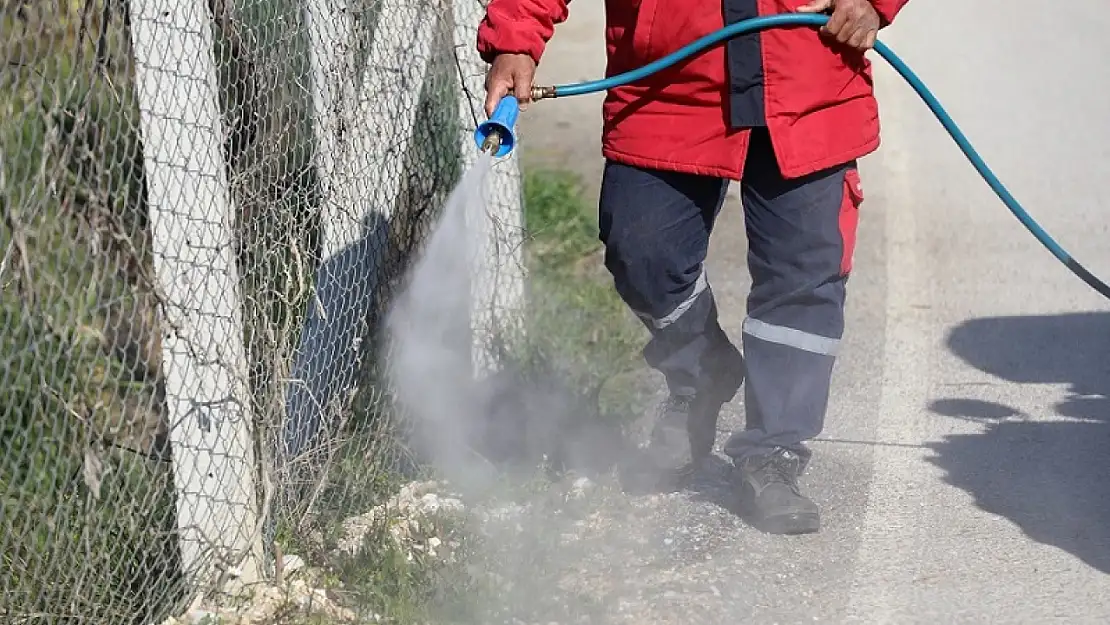 İzmir'de çevre dostu ilaçlama