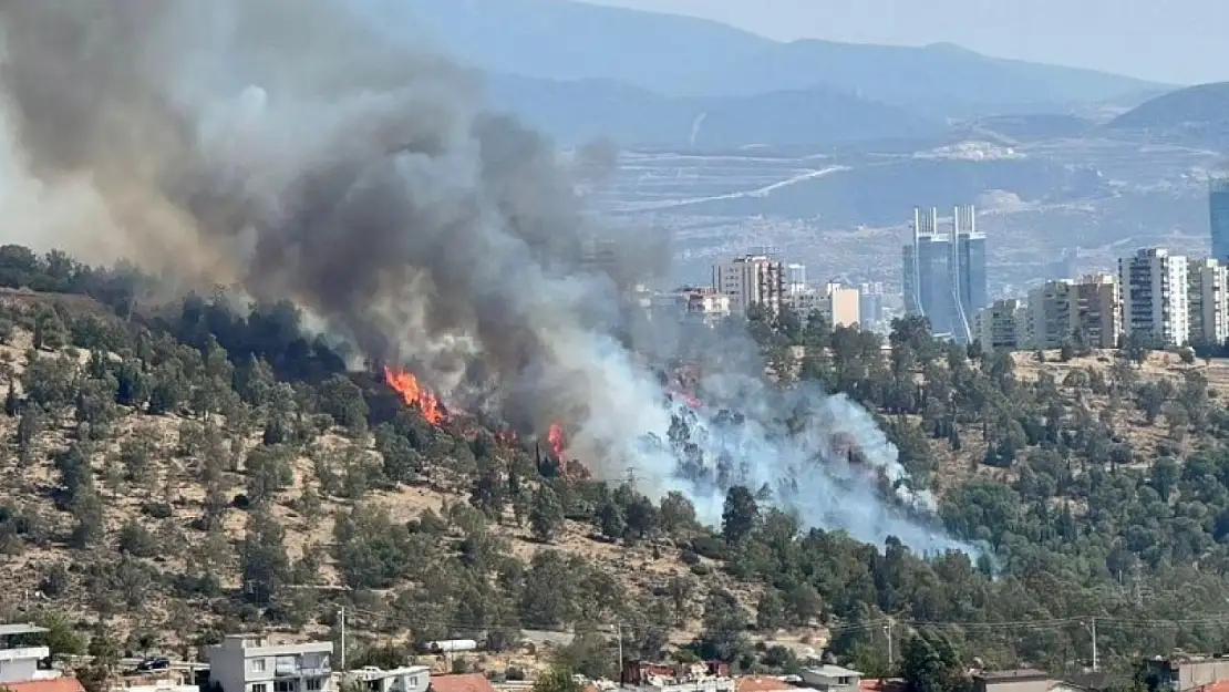 İzmir'de dağlık alanda yangın 