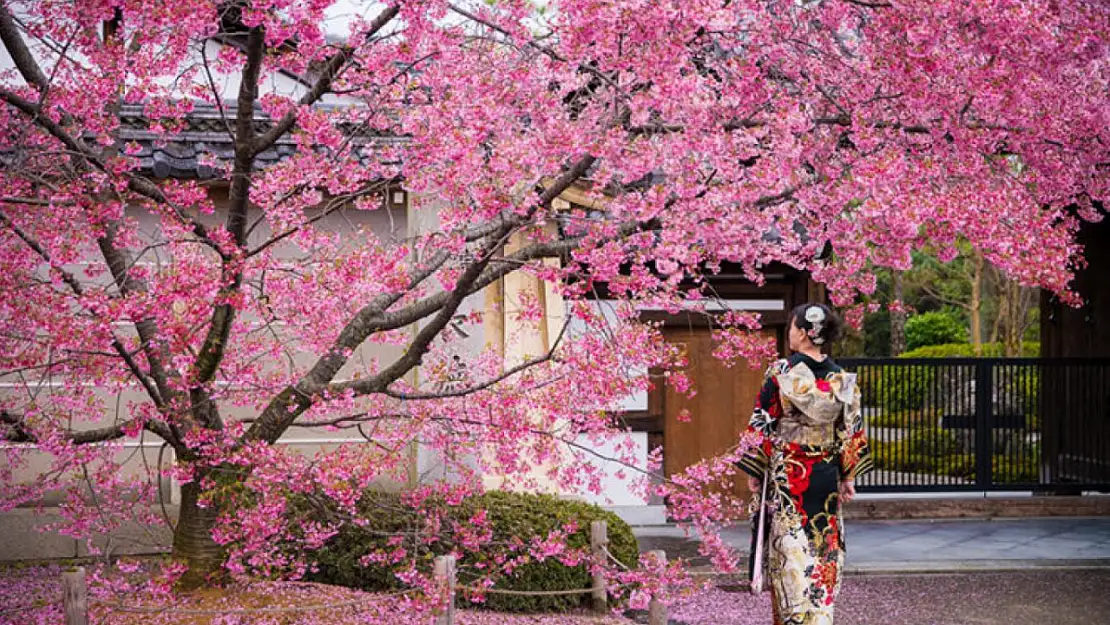 İzmir'de Japon kültürüne yolculuk