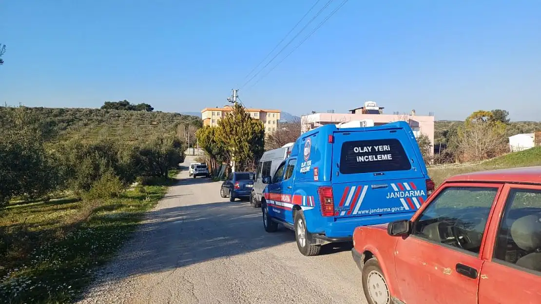 İzmir'de 'kenevir' üretim çetesine baskın: 102 kök ele geçirildi