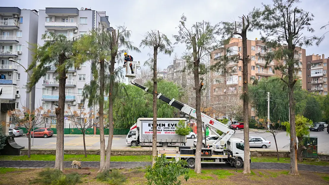 İzmir'de kışa hazırlık için yoğun çalışma