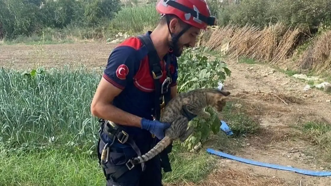 İzmir'de kuyuya düşen kedinin imdadına itfaiye yetişti