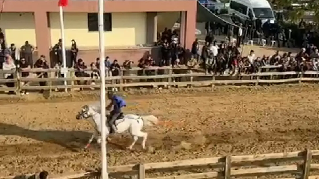 İzmir'de Rahvan At Yarışları: Şampiyona heyecanı