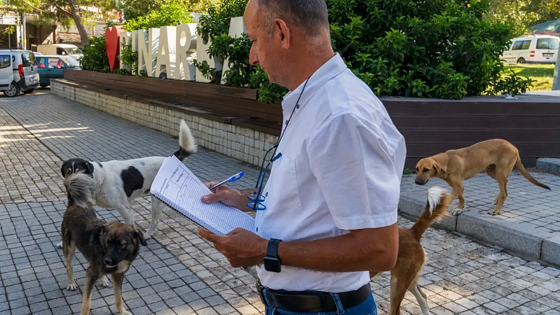 İzmir'de sahipsiz köpekler için büyük adım