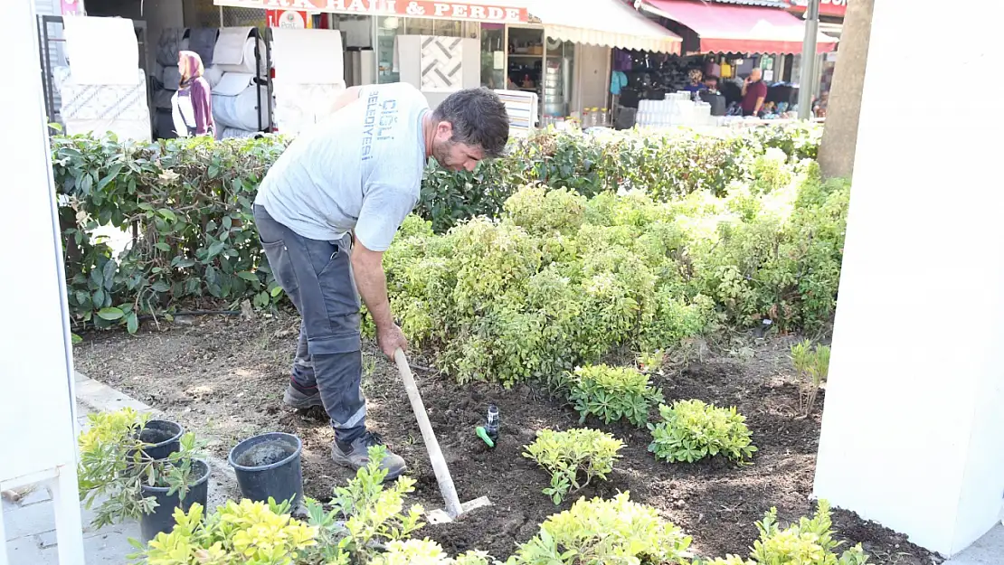 İzmir'de yeşil devrim!