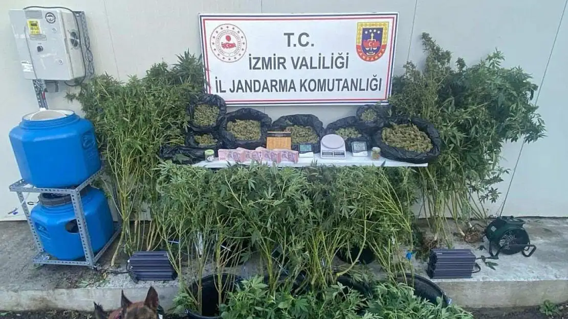 İzmir'de zehir taciri avı: Torbacıların yaşı şoke etti