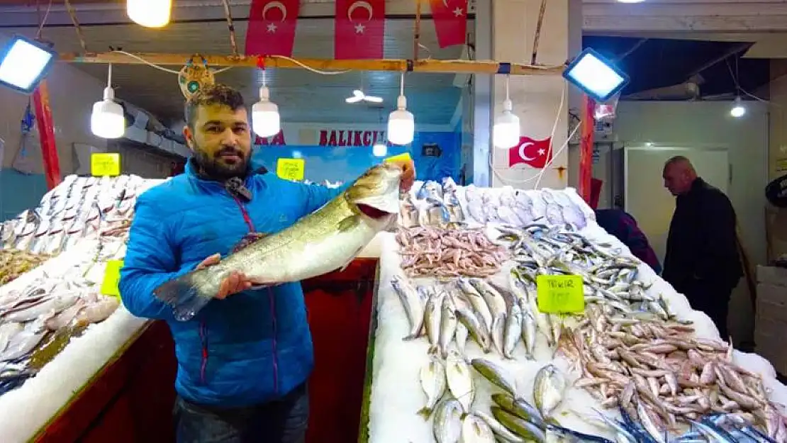 İzmir Foça tezgahlarında levrek bolluğu