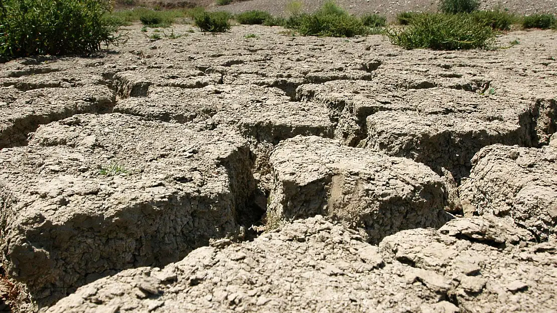 İzmir'in 160 yıllık kuraklık haritasını çıkarıldı: Tehlike büyük! 