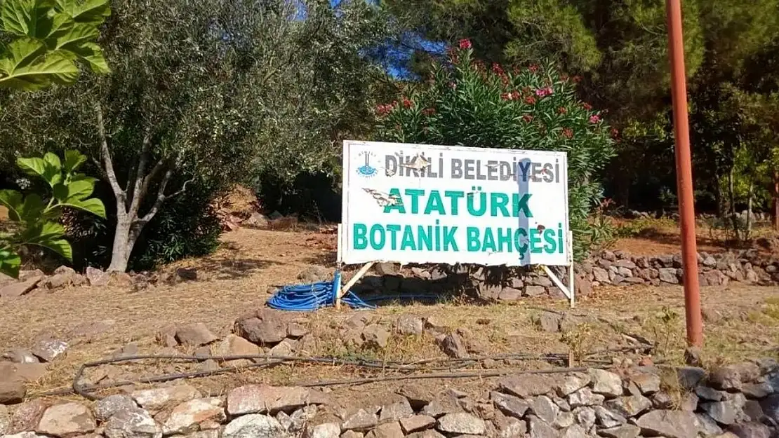 İzmir'in saklı cenneti Atatürk Botanik Bahçesi 24 saat açık, ücretsiz ve 3 binden fazla bitki barındırıyor!