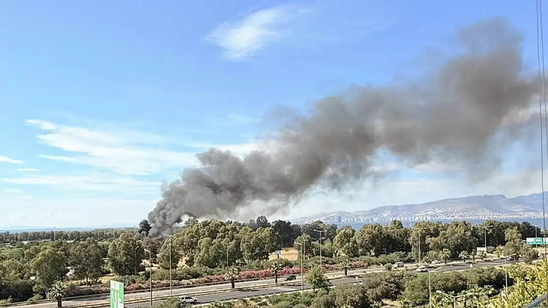 İzmir İnciraltı'nda şok yangın! Yangına müdahale sürüyor