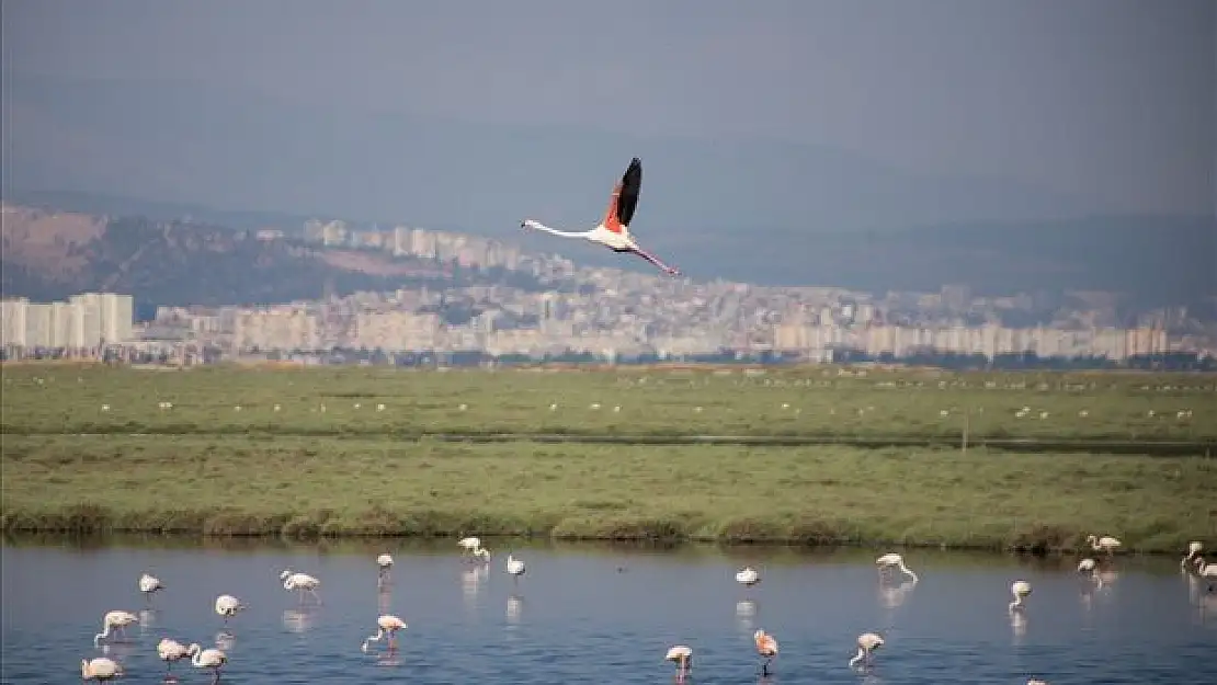 İzmir o projeyle Ufuk Avrupa Programı'nı kazandı