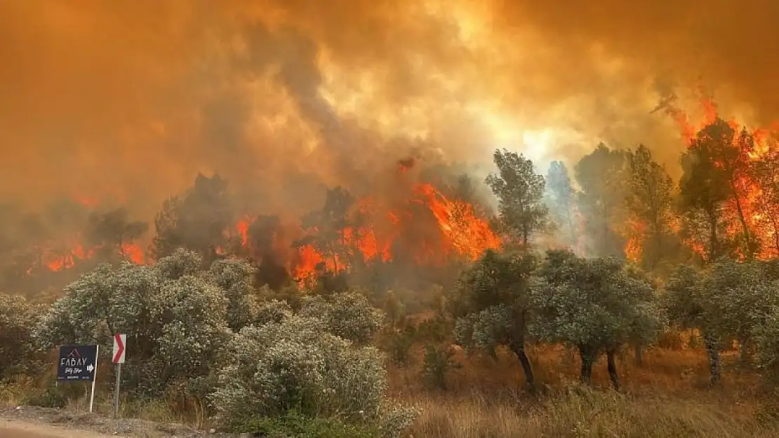 İzmir orman yangınından 78 kişi etkilendi, 29 kişinin tedavisi devam ediyor