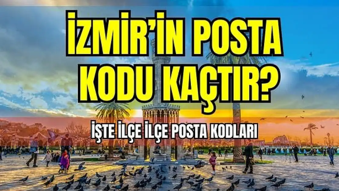 İzmir ilinin posta kodu kaçtır?