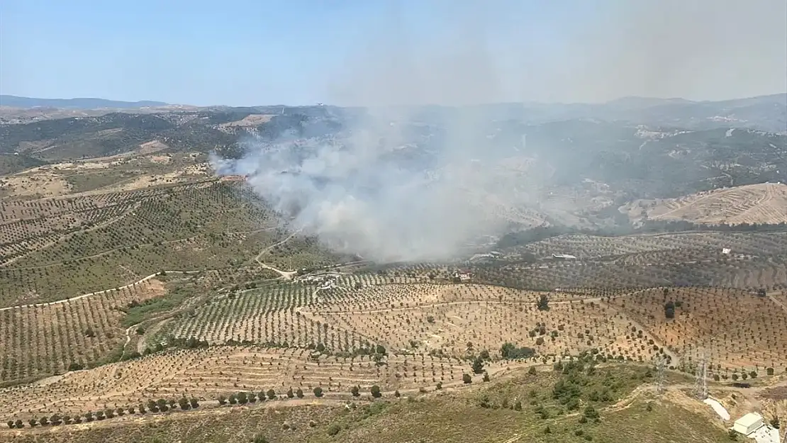 İzmir Seferihisar'da yangın: Ekipler müdahale ediyor