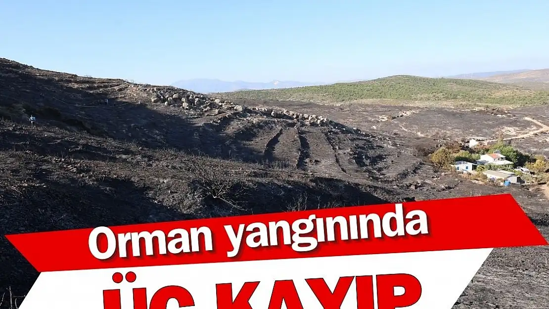 İzmir Valisi Elban: Araziye kaçan 3 vatandaşımız hayatını kaybetti