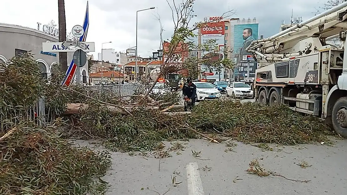 İzmir’de fırtına hayatı olumsuz etkiledi