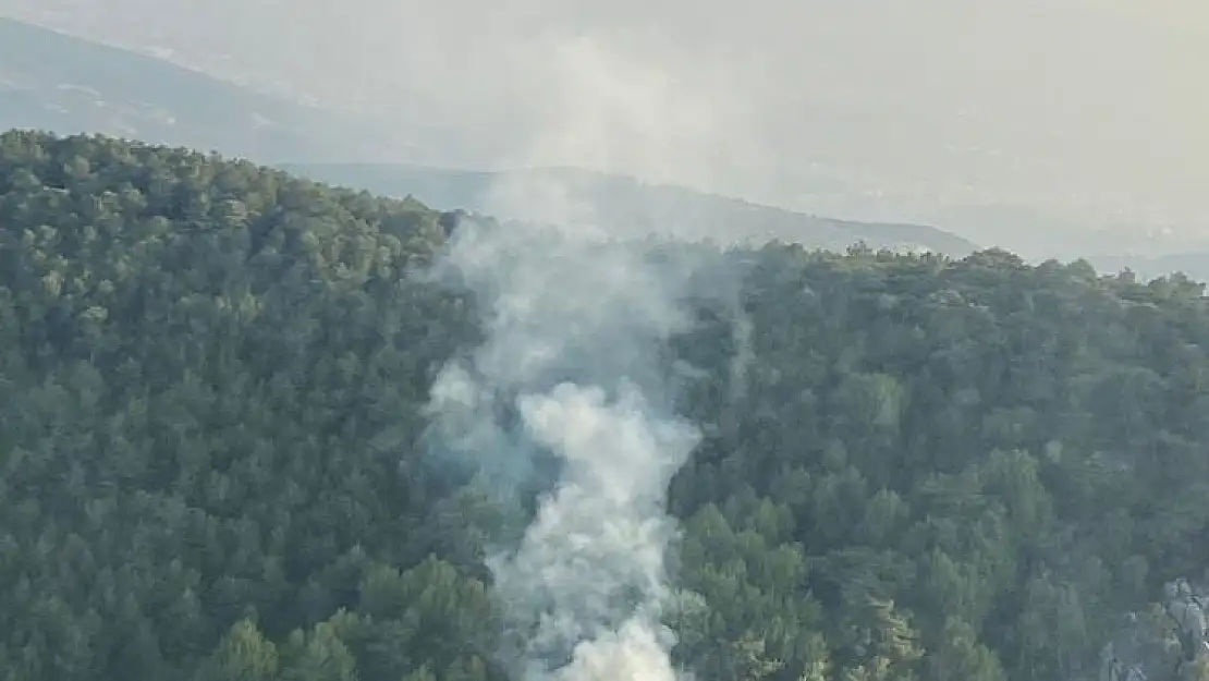 İzmir’de orman yangını kısa sürede kontrol altına alındı