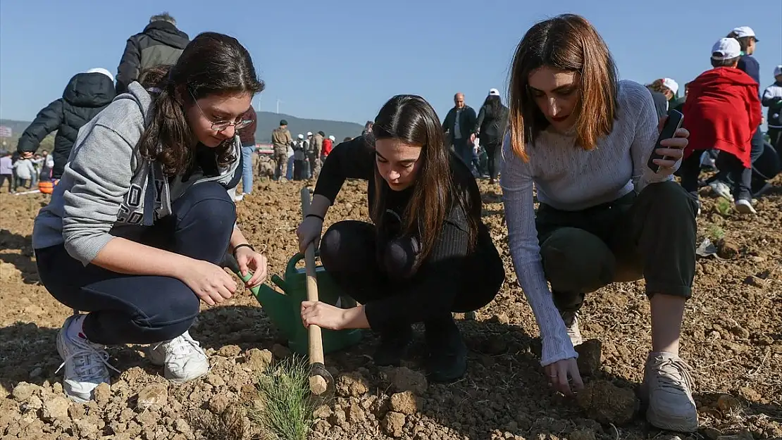 İzmir'de son 20 yılda 105 bin 527 hektar alan ağaçlandı