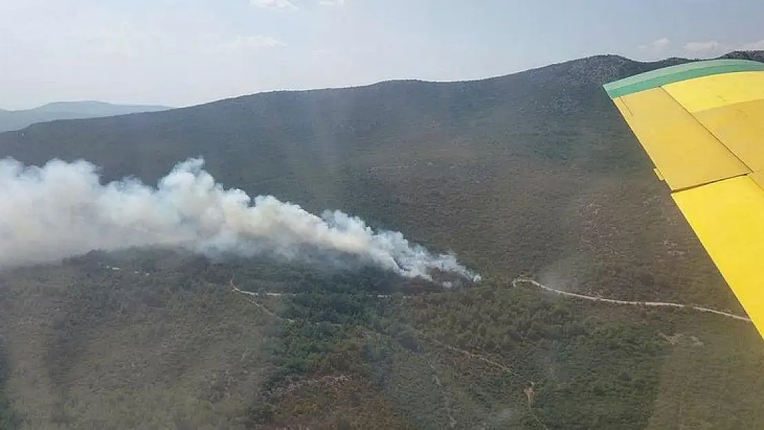 İzmir'deki orman yangınına müdahale devam ediyor