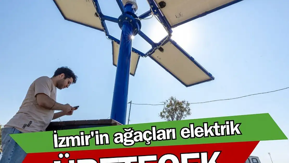 İzmir’in ağaçları elektrik üretecek