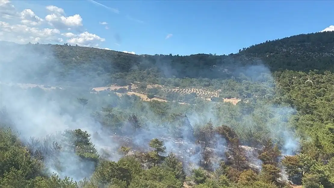 İzmir'in ormanları yine yangın yeri