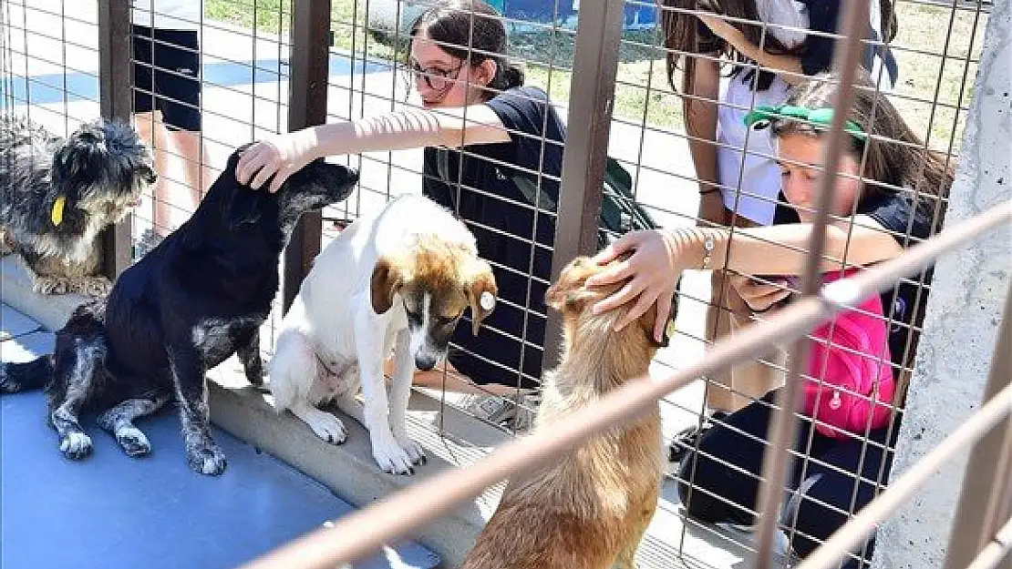 İzmirliler Patili dostlarla PAKOFEST’te buluştu