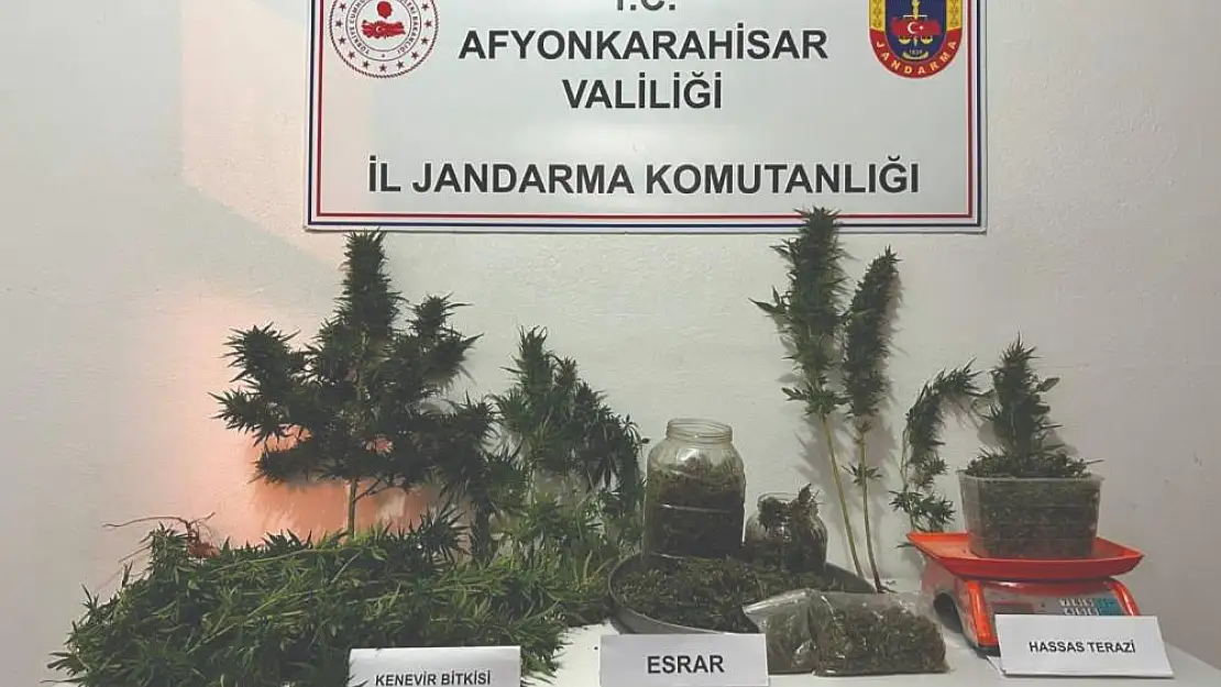 Jandarma 2 kilogram esrar ve kenevir ele geçirdi